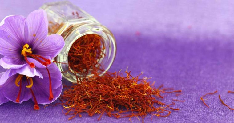 زعفران بهترین دارو مقابله با سرطان کبد