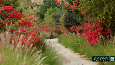 دانلود کلیپ زیبا و دیدنی از دره لیر سیراف/فیلم