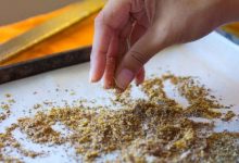 آیا مصرف قرص زیره و لیمو باریج اسانس برای لاغری موثر است؟