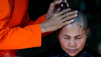 یک خادم در مراسمی مذهبی در تایلند، که زنان علاقمند به دستیابی به مقام راهبگی در آن شرکت می کنند، مشغول تراشیدن موهای یک زن داوطلب است. بر طبق قانون مصوب سال 1928 آیین بودایی، به طور رسمی فقط مردان می توانند در تایلند مراتب تبدیل شدن به راهبان بودایی را طی کنند. اما این روزها تعداد رو به افزایشی از زنان تایلندی در معابدی که به رسمیت شناخته نمی شوند و  فقط توسط زنان اداره می شود، آموزش های راهبگی دریافت می کنند.