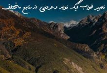 تعبیر خواب کیک تولد و عروسی از منابع مختلف