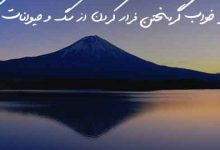 تعبیر خواب گریختن فرار کردن از سگ و حیوانات دیگر