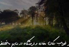 تعبیر خواب دکان مغازه و فروشگاه از منابع مختلف