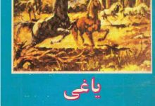 دانلود رمان یاغی (یاشار کمال)/PDF