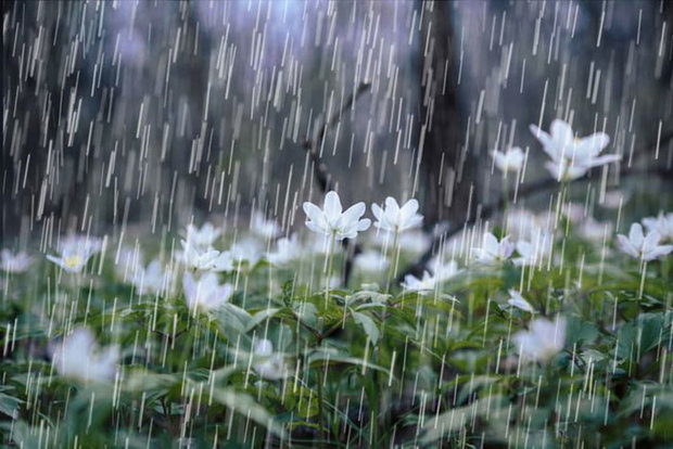 انشا در مورد قدم زدن در باران بهاری + اشعار زیبا در وصف باران