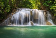 آبشار forest-trees-waterfall