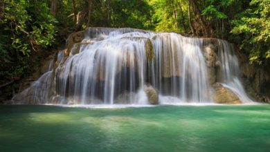 آبشار forest-trees-waterfall
