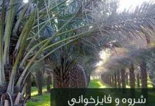 دانلود شروه فایز دشتی