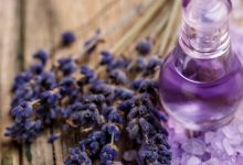 احکام ماه رمضان | بوییدن عطر و گیاه هنگام روزه‌داری چه حکمی دارد