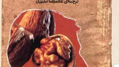 دانلود کتاب قلب جسم pdf